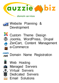 Auzzie.Biz Domain Services